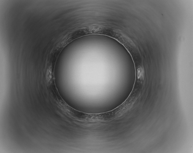 X0000113131011200909110909