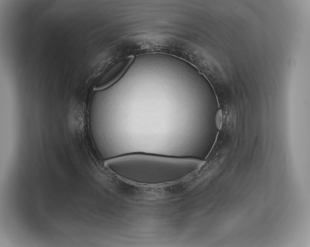 X0000113131012200909110909