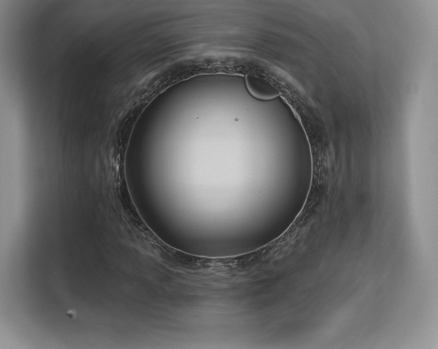 X0000113131013200909110909