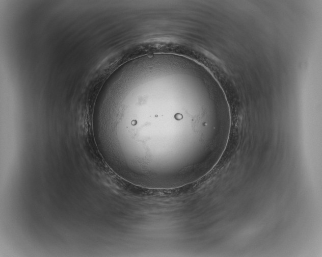 X0000113131014200909110909