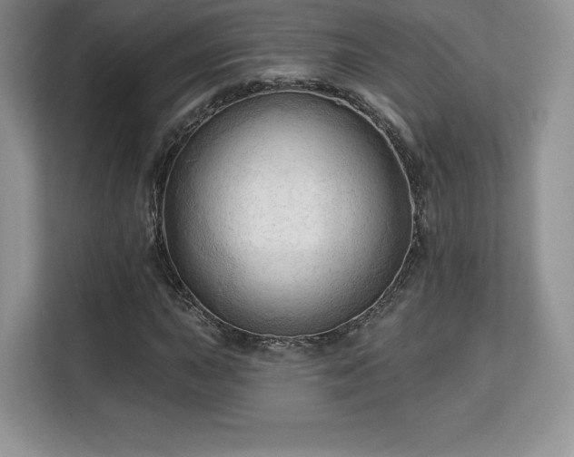 X0000113131015200909110909