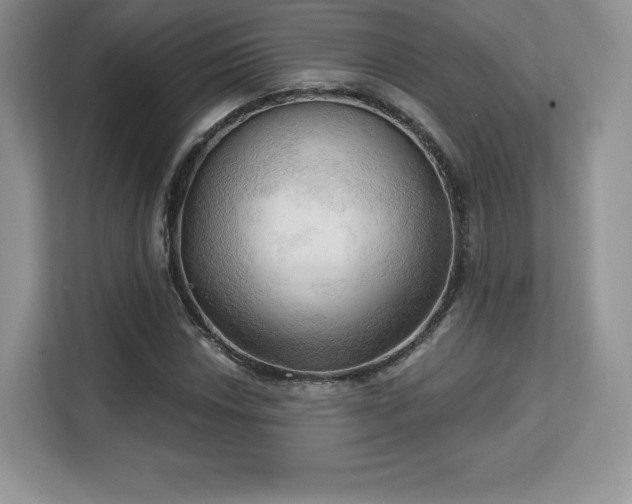 X0000113131018200909110910