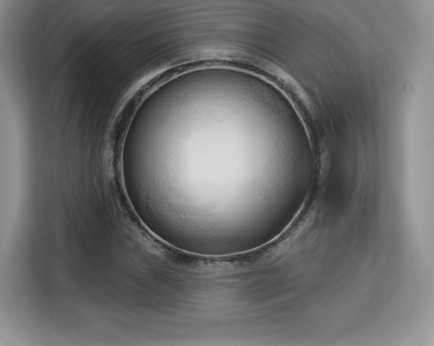 X0000113131019200909110910