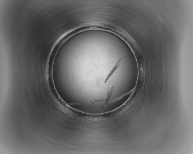 X0000113131020200909110910