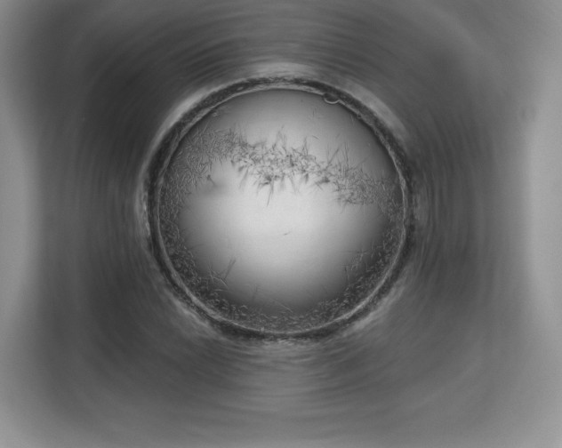 X0000113131022200909110910