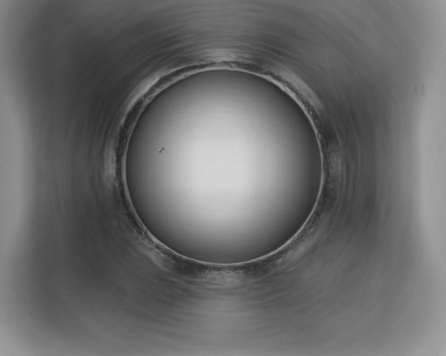 X0000113131023200909110910