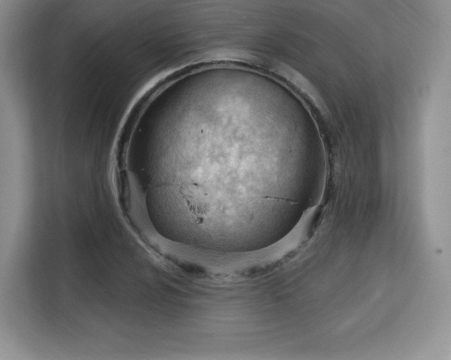 X0000113131024200909110910