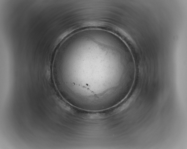 X0000113131025200909110910