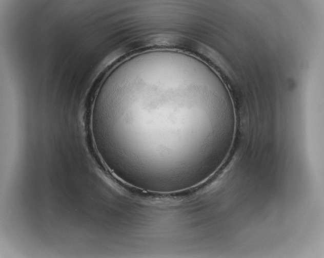 X0000113131026200909110910