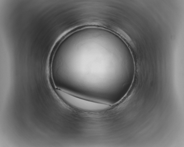 X0000113131028200909110910