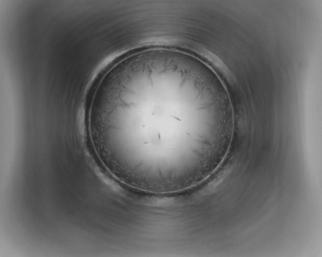 X0000113131030200909110910