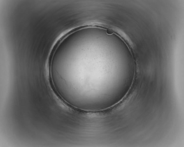 X0000113131032200909110910