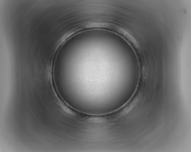 X0000113131033200909110910