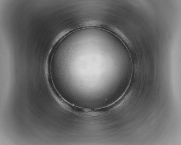 X0000113131034200909110910