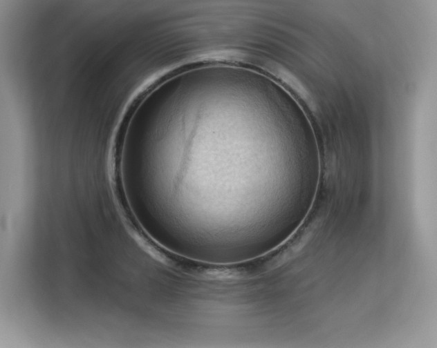 X0000113131037200909110910