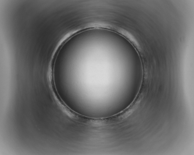 X0000113131040200909110910