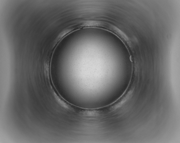 X0000113131041200909110910