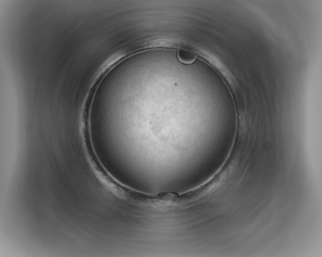 X0000113131042200909110910