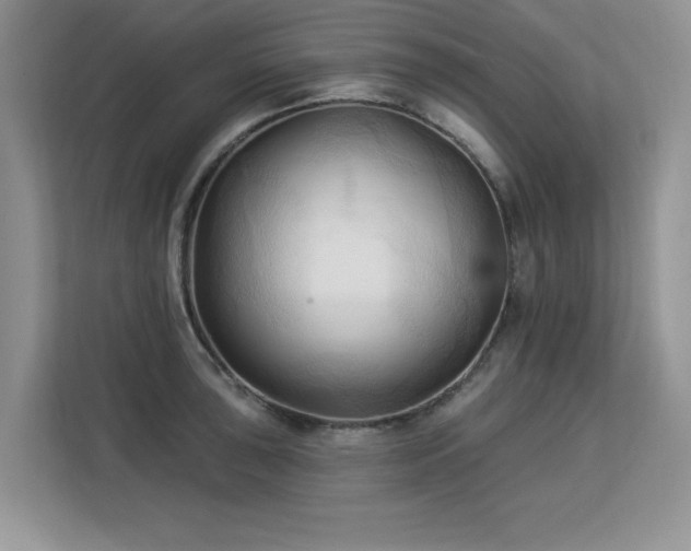 X0000113131043200909110910