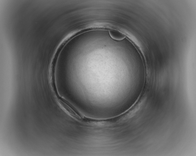 X0000113131045200909110910