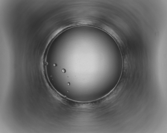 X0000113131047200909110910