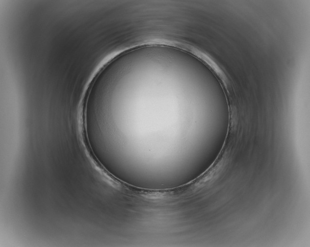 X0000113131048200909110910