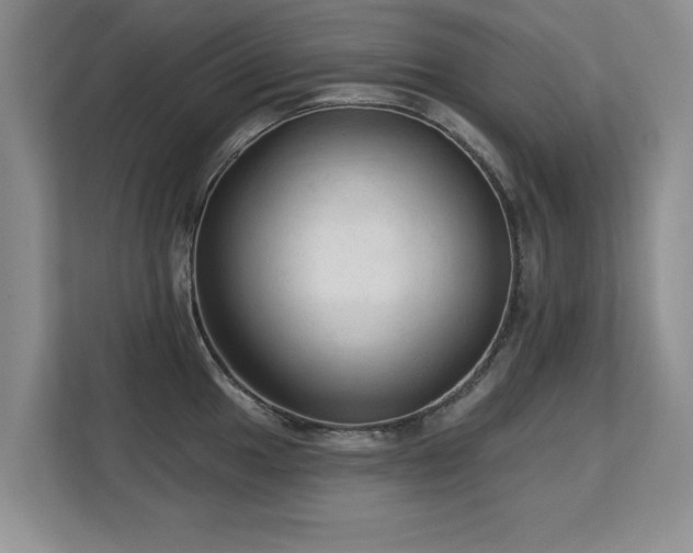 X0000113131049200909110910