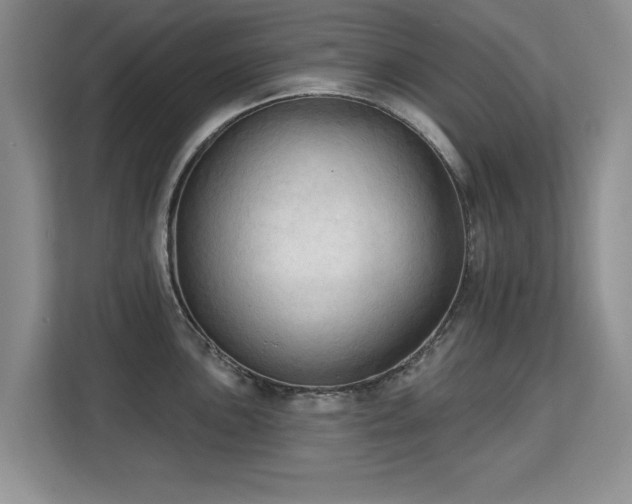 X0000113131051200909110910