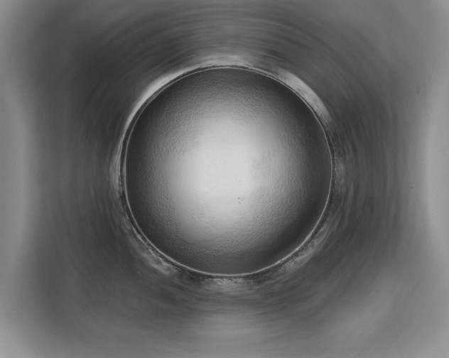 X0000113131052200909110910