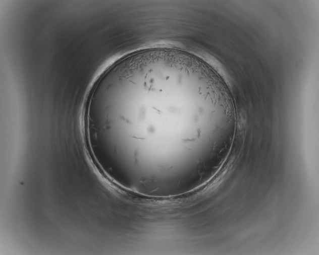 X0000113131054200909110910