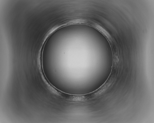 X0000113131055200909110910