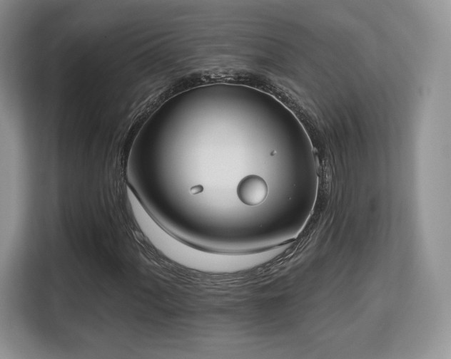 X0000113131060200909110909