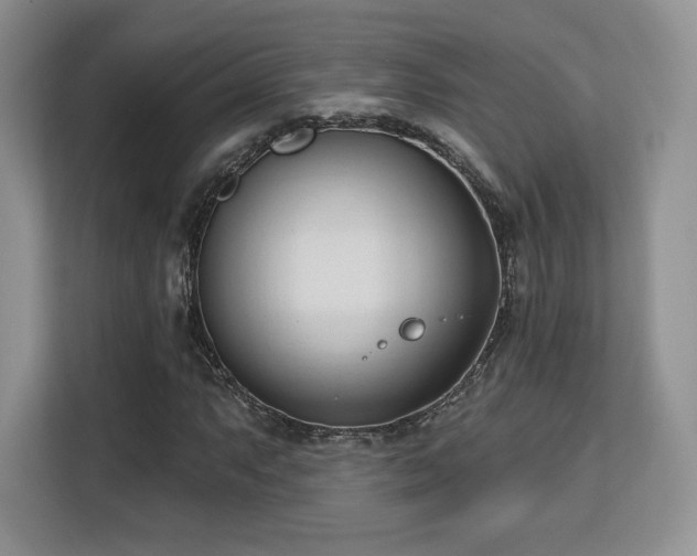 X0000113131063200909110909