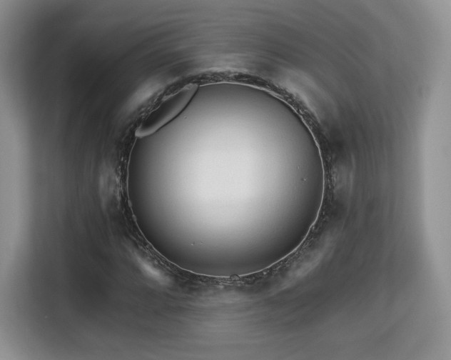 X0000113131064200909110909