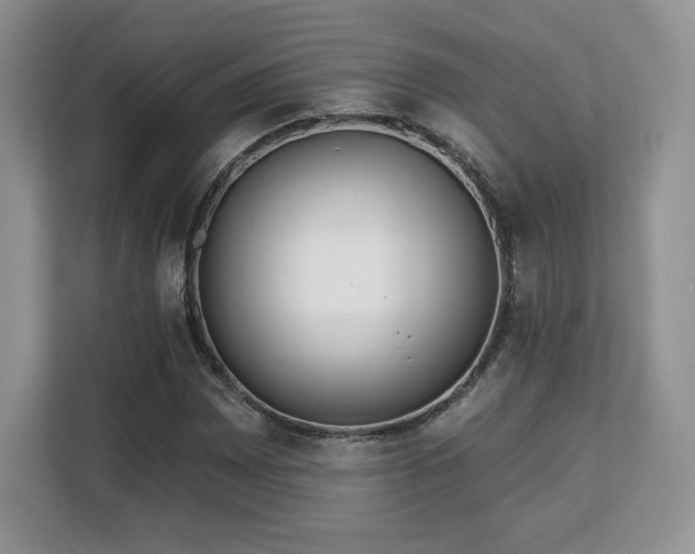 X0000113131065200909110909