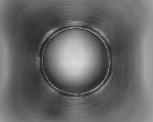 X0000113131066200909110909