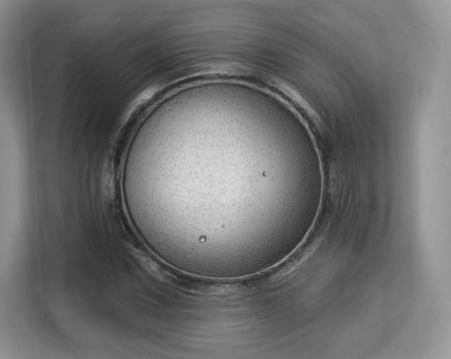 X0000113131067200909110909