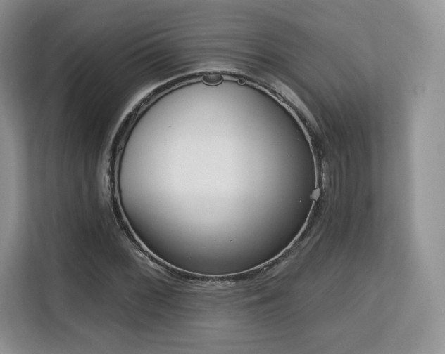 X0000113131068200909110909