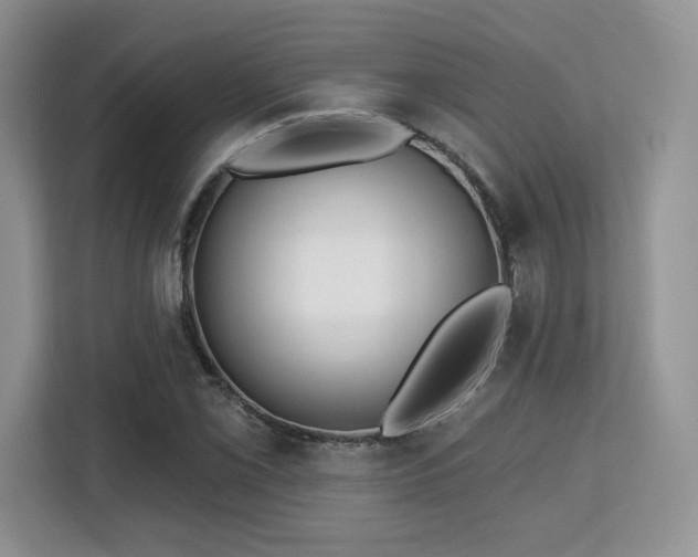 X0000113131069200909110909