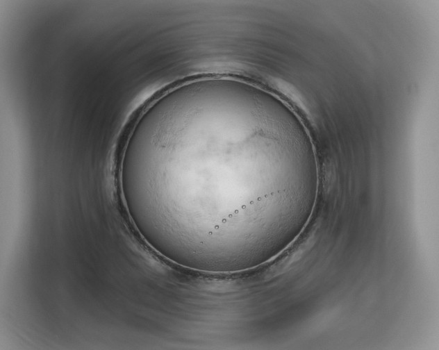 X0000113131071200909110909