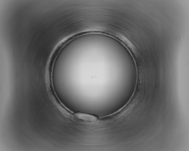 X0000113131072200909110909