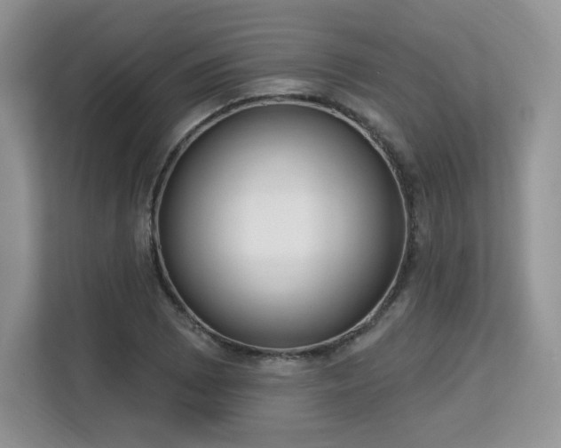 X0000113131073200909110909