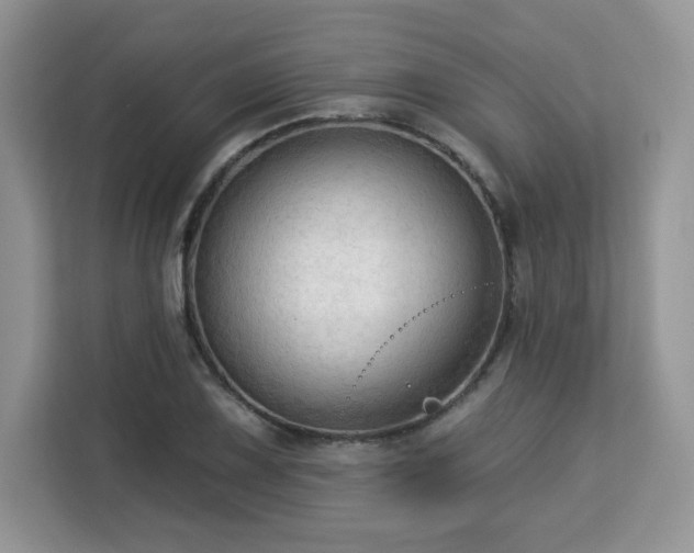 X0000113131075200909110909