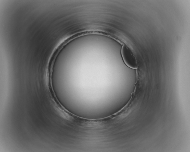 X0000113131076200909110909