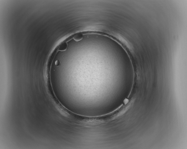 X0000113131077200909110909