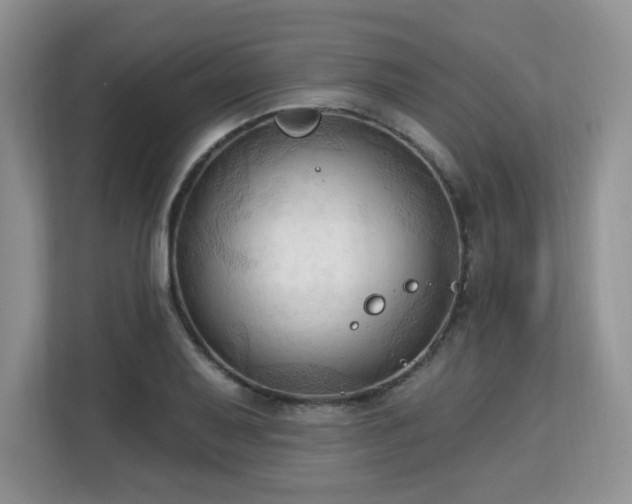 X0000113131079200909110909