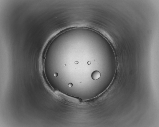 X0000113131080200909110909