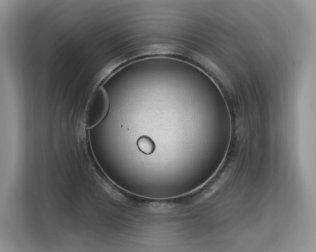 X0000113131081200909110909