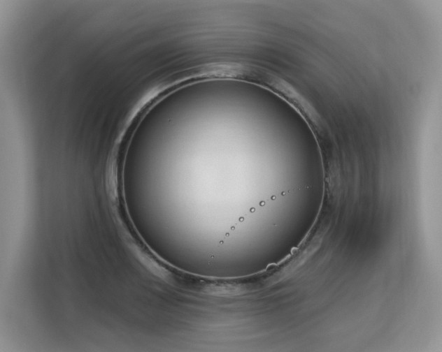 X0000113131083200909110909