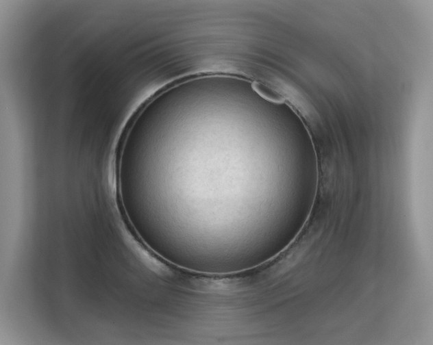 X0000113131084200909110909